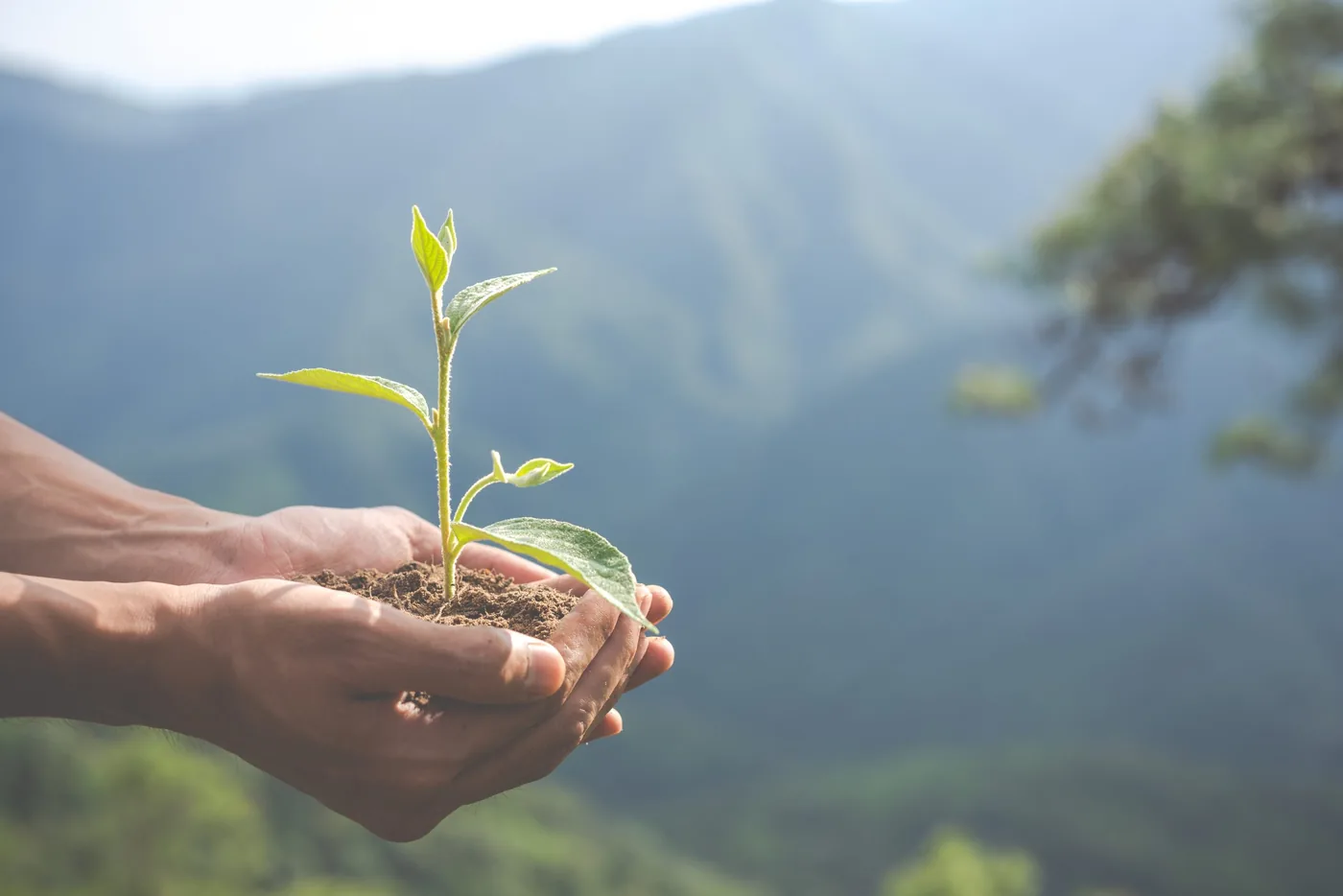 Evaluación ambiental